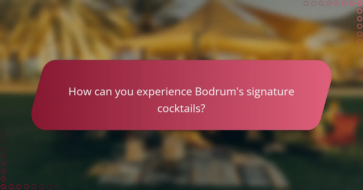 How can you experience Bodrum's signature cocktails?