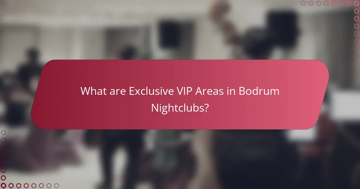 What are Exclusive VIP Areas in Bodrum Nightclubs?