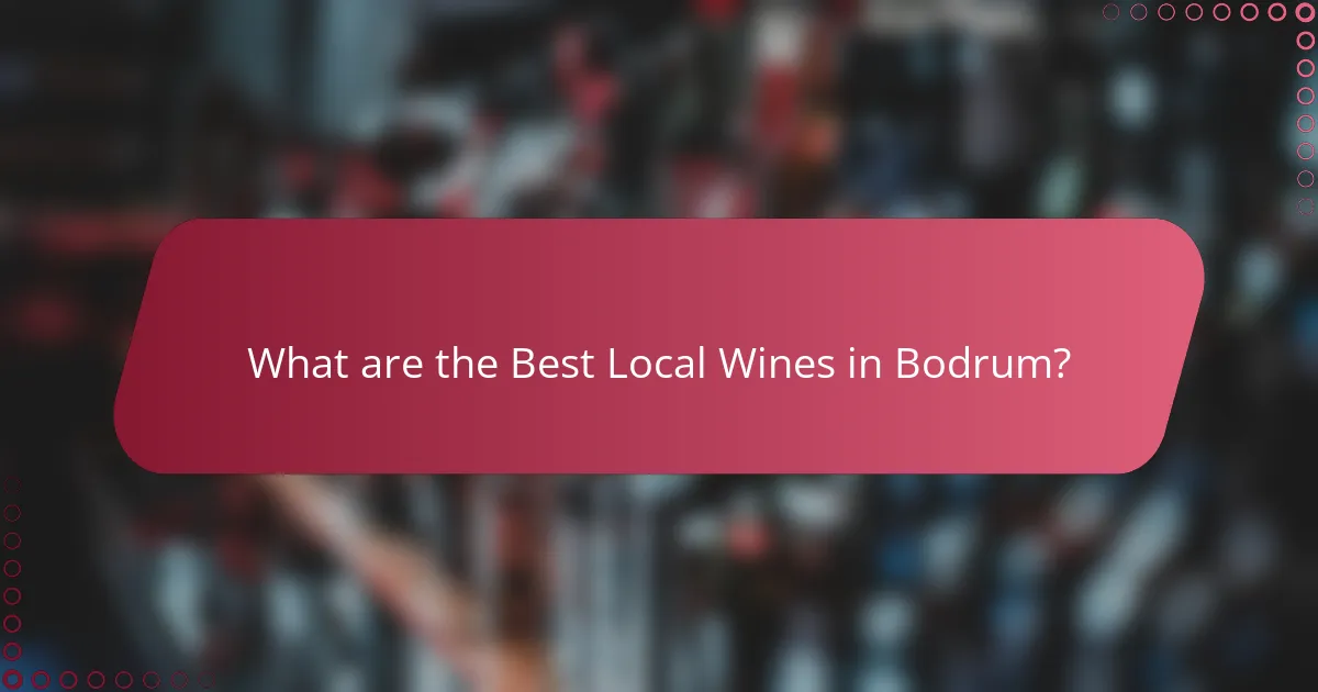 What are the Best Local Wines in Bodrum?