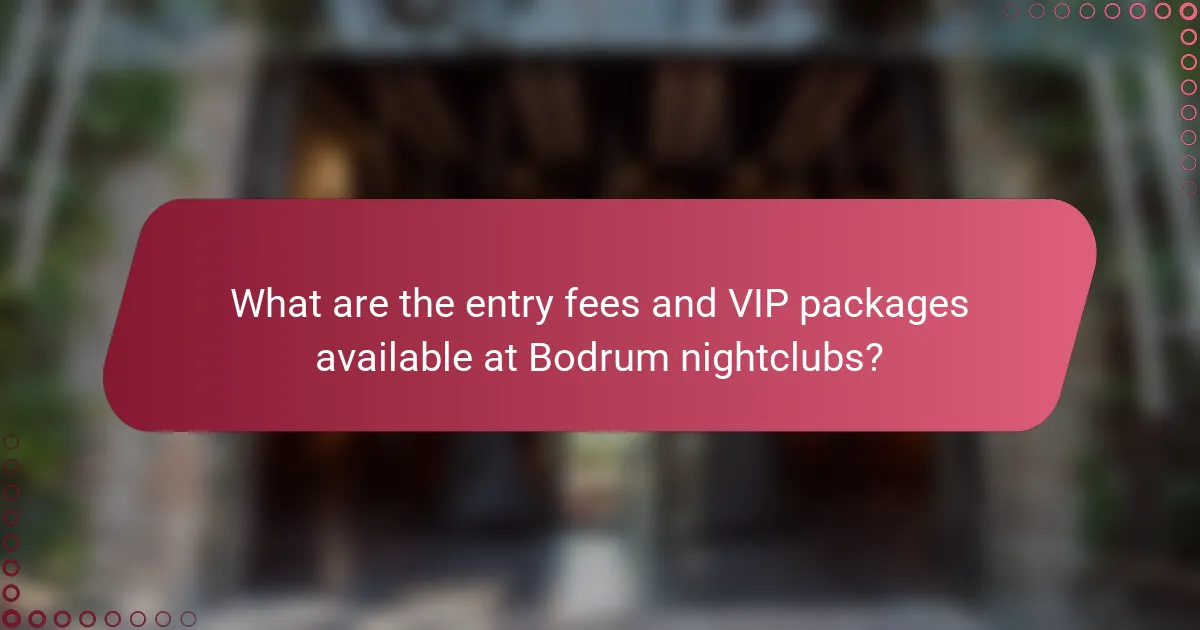 What are the entry fees and VIP packages available at Bodrum nightclubs?