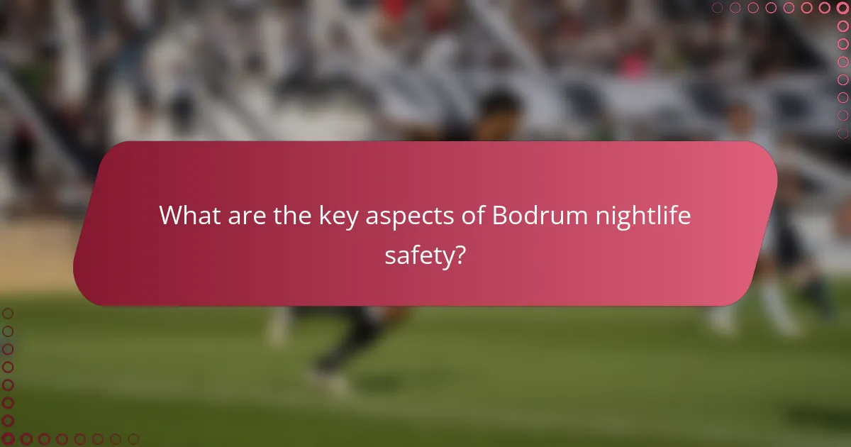 What are the key aspects of Bodrum nightlife safety?