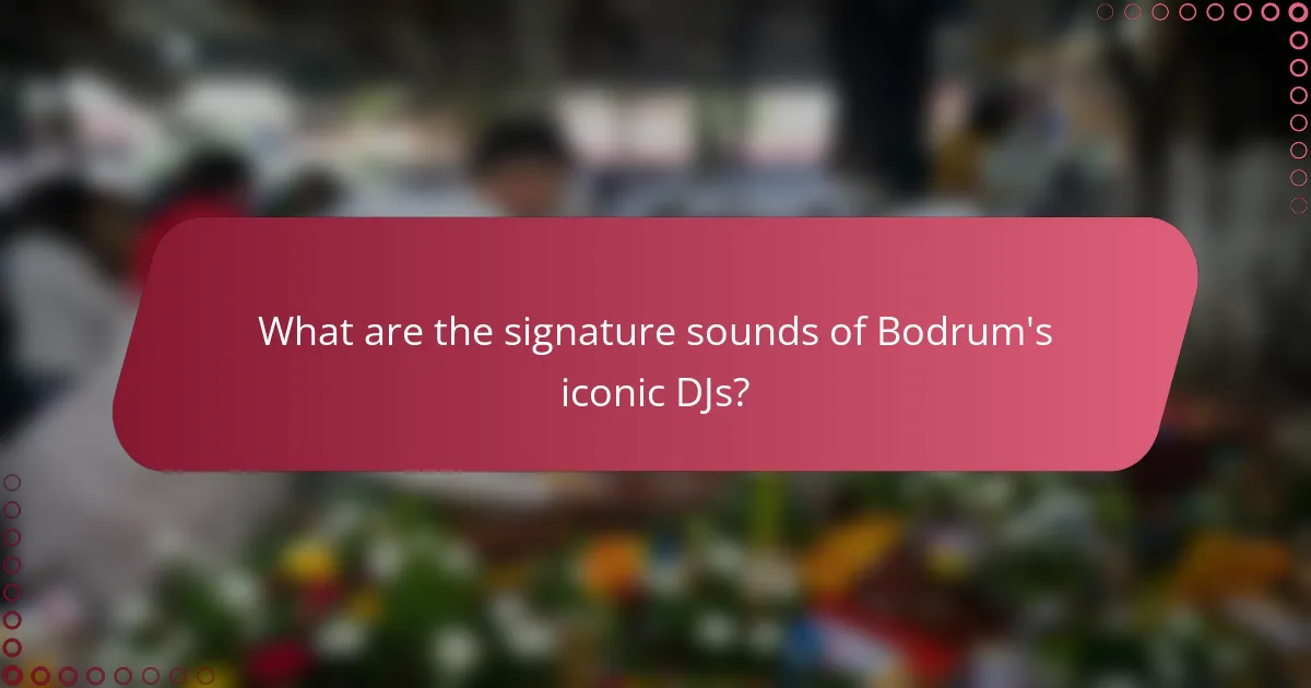 What are the signature sounds of Bodrum's iconic DJs?