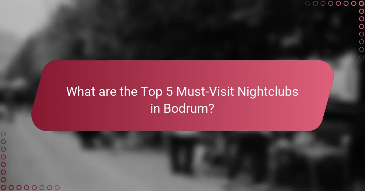 What are the Top 5 Must-Visit Nightclubs in Bodrum?
