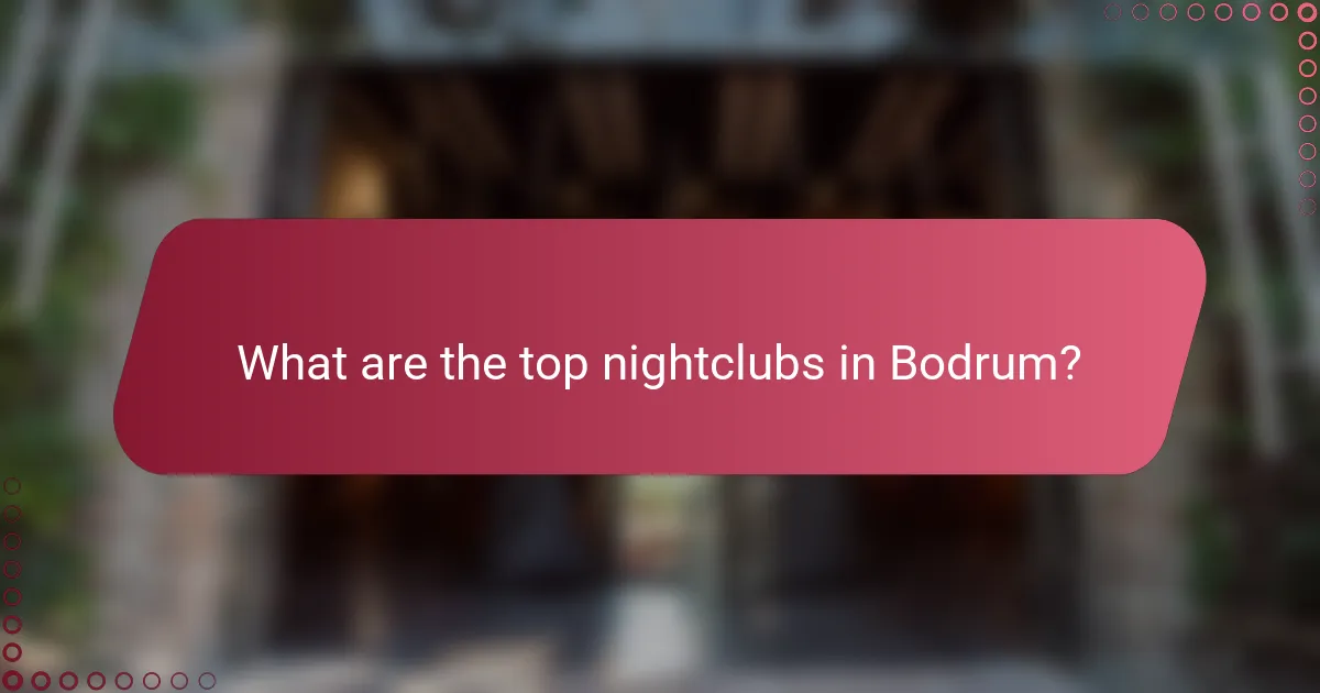 What are the top nightclubs in Bodrum?