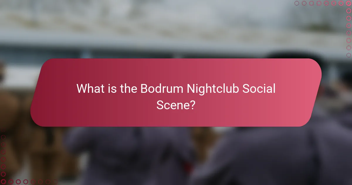 What is the Bodrum Nightclub Social Scene?