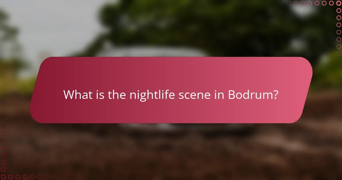 What is the nightlife scene in Bodrum?