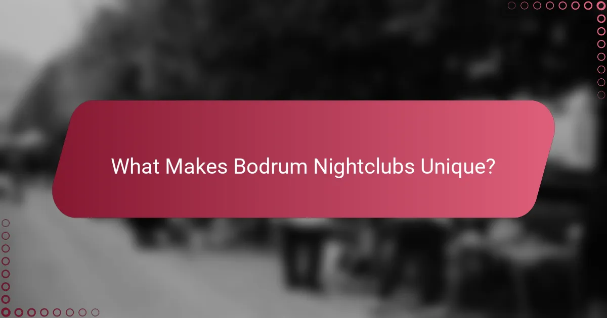 What Makes Bodrum Nightclubs Unique?