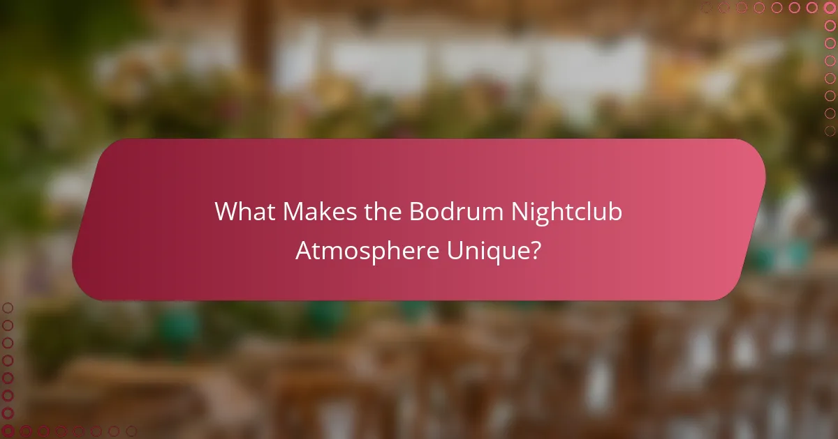 What Makes the Bodrum Nightclub Atmosphere Unique?