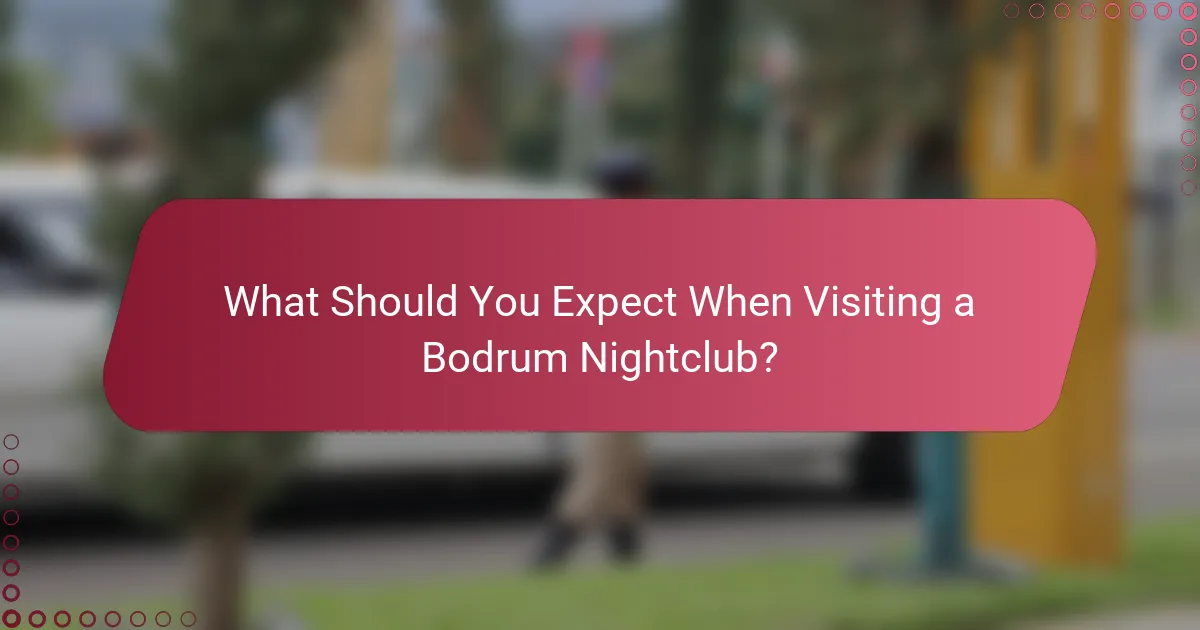 What Should You Expect When Visiting a Bodrum Nightclub?