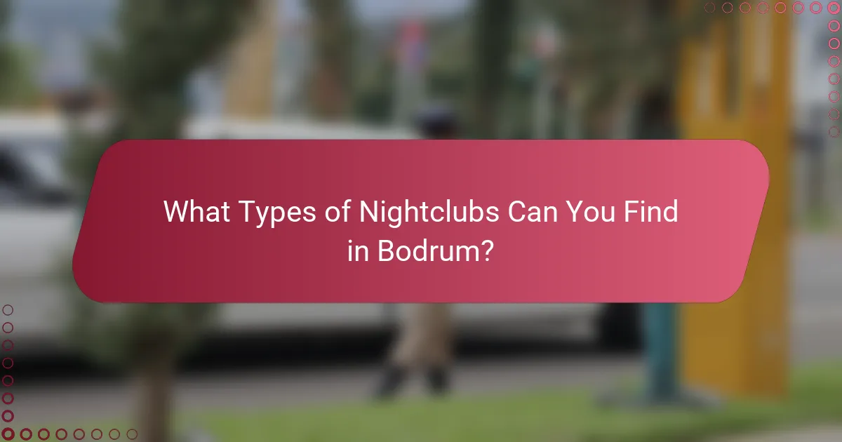 What Types of Nightclubs Can You Find in Bodrum?